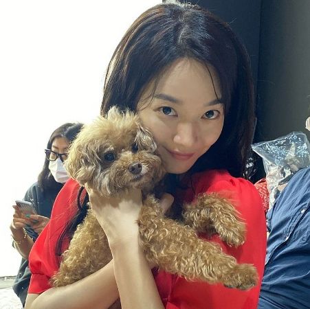 Shin Min-ah with her poodle